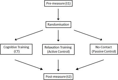 Multidomain Cognitive Training Transfers to Attentional and Executive Functions in Healthy Older Adults